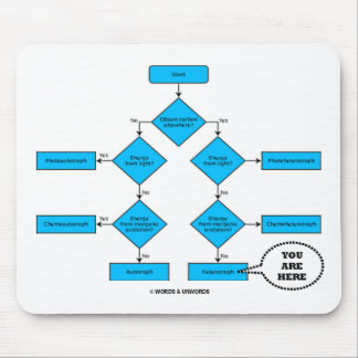 Alfombrilla De Ratón Gráfico de flujo de heterotrópicos: ya está aquí