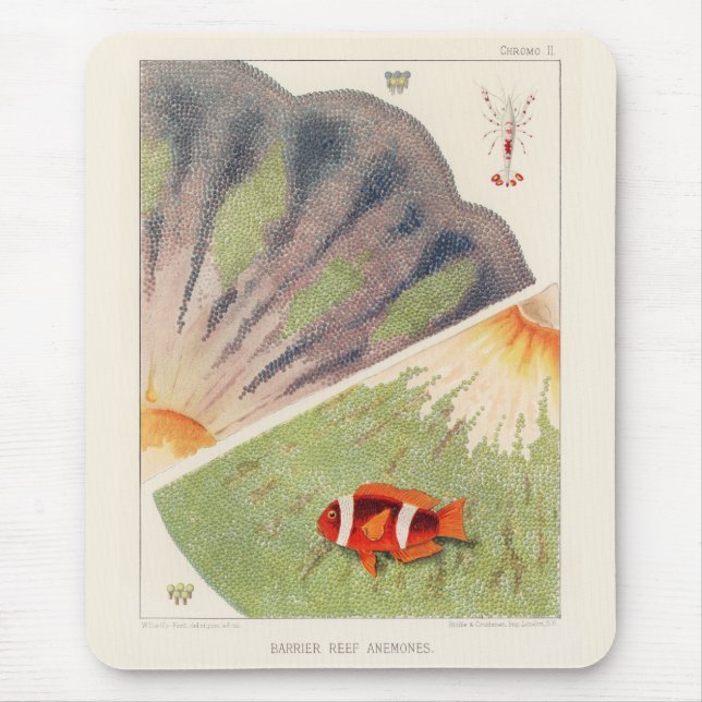 Alfombrilla De Ratón Gran barrera de arrecife de Australia de Anémonas (Frente)