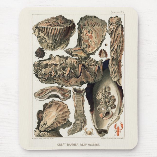 Alfombrilla De Ratón Gran barrera de arrecife de Australia Ostras (Frente)