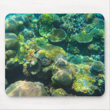 Gran barrera de coral de arrecife - #2