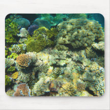 Gran barrera de coral de arrecife - #5