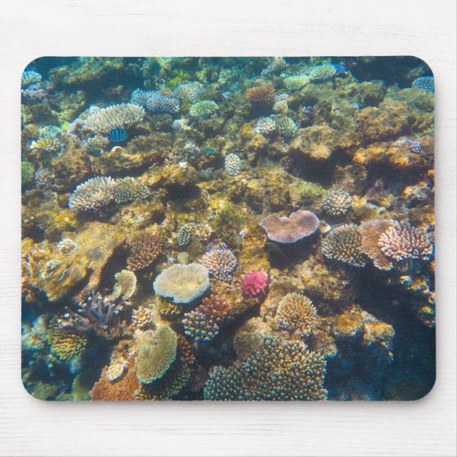 Alfombrilla De Ratón Gran barrera de coral de arrecifes - #4 (Frente)