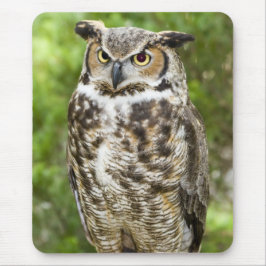 Alfombrilla De Ratón Gran búho de cuernos