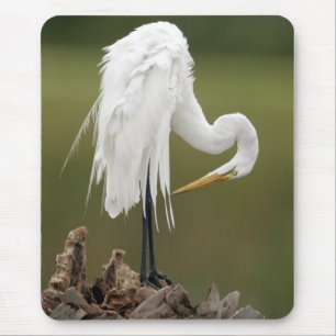 Alfombrilla De Ratón Gran Egret