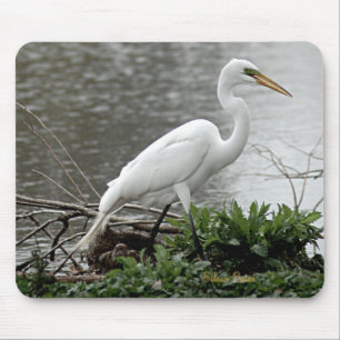 Alfombrilla De Ratón Gran Egret
