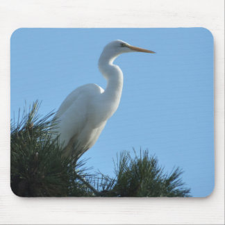 Alfombrilla De Ratón Gran Egret en la soleada Florida