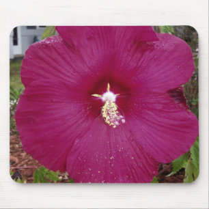 Alfombrilla De Ratón Gran hibiscus rojo oscuro