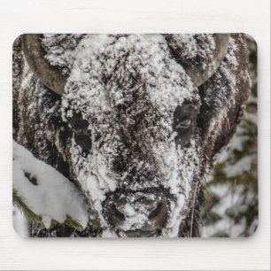 Alfombrilla De Ratón Gran tetón de venado cubierto de nieve