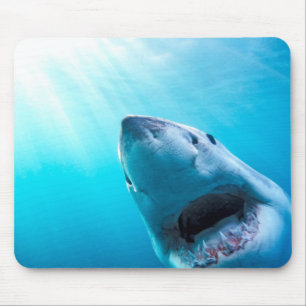 Alfombrilla De Ratón Gran Tiburón Blanco   Sudáfrica