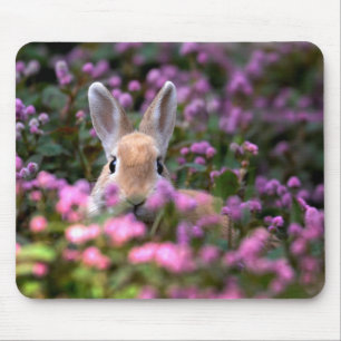 Alfombrilla De Ratón Granja de conejo