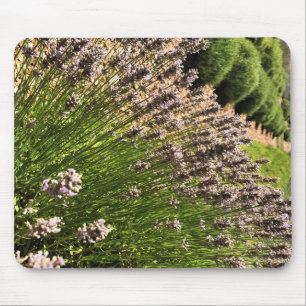 Alfombrilla De Ratón Granja de lavanda