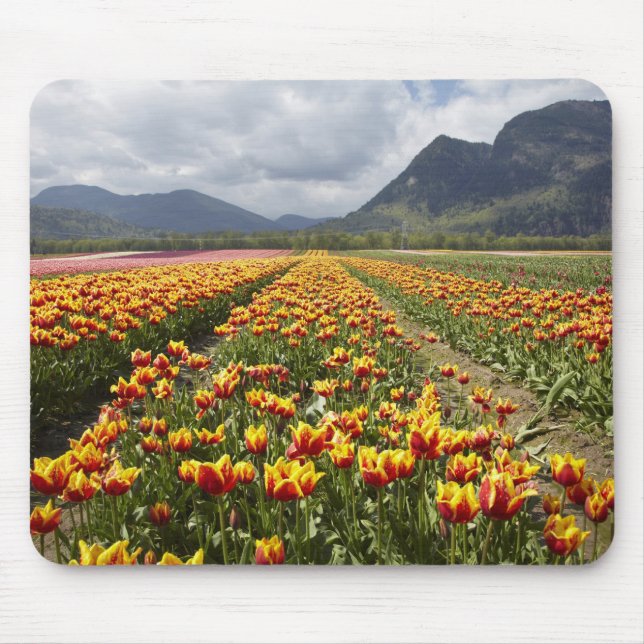 Alfombrilla De Ratón Granja Tulip cerca de Agassiz, Columbia Británica (Frente)