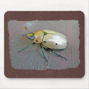 Alfombrilla De Ratón Grapevine Beetle (Pelidnota punctata) Series