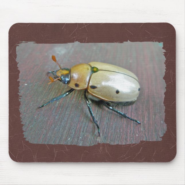 Alfombrilla De Ratón Grapevine Beetle (Pelidnota punctata) Series (Frente)