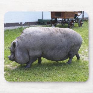 Alfombrilla De Ratón Grasa dulce  Animales de granja