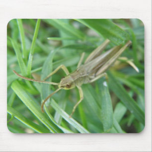 Alfombrilla De Ratón Grasshopper Mousepad