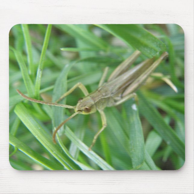Alfombrilla De Ratón Grasshopper Mousepad (Frente)