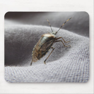 Alfombrilla De Ratón Graue Gartenwanze buggy stink bug