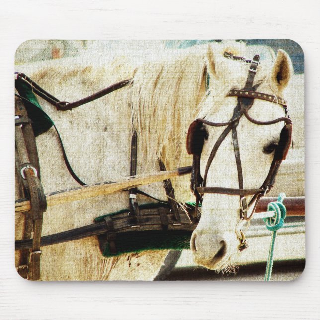Alfombrilla De Ratón Gray Amish Buggy Horse (Frente)