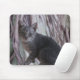 Alfombrilla De Ratón Gray Kitten Mousepad (Con ratón)