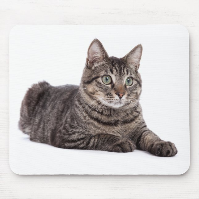 Alfombrilla De Ratón Gray Tabby Cat (Frente)
