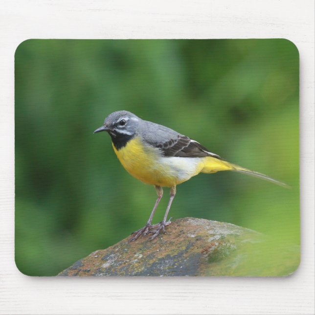 Alfombrilla De Ratón Gray Wagtail - pájaro (Frente)