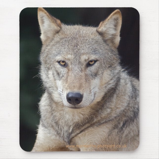 Alfombrilla De Ratón Gray Wolf Mousemat (Frente)