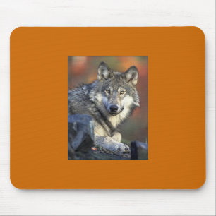 Alfombrilla De Ratón Gray Wolf Mousepad
