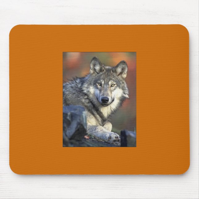 Alfombrilla De Ratón Gray Wolf Mousepad (Frente)
