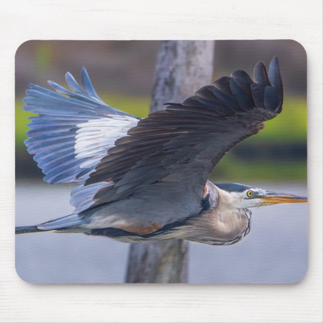 Alfombrilla De Ratón Great Blue Heron Flight Wildlife Bird Photography (Frente)