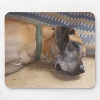Alfombrilla De Ratón Great dane dulce grande