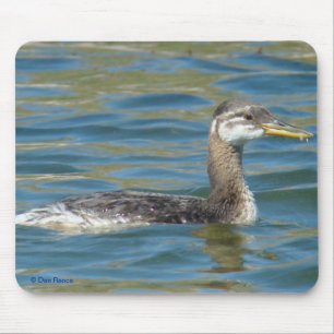 Alfombrilla De Ratón Grebe de cuello rojo juvenil B40