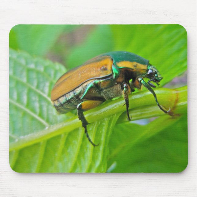 Alfombrilla De Ratón Green June Beetle Mousepad (Frente)