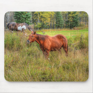 Alfombrilla De Ratón Grinning Grinning Chestnut Mare & Pasture Photo
