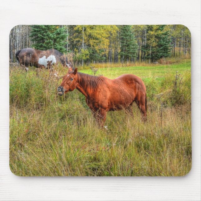 Alfombrilla De Ratón Grinning Grinning Chestnut Mare & Pasture Photo (Frente)