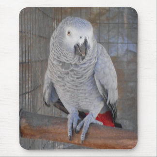 Alfombrilla De Ratón Gris africano "Rudy "
