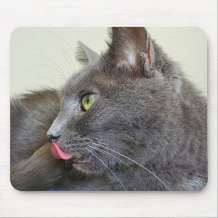 Alfombrilla De Ratón Gris cat mousepad
