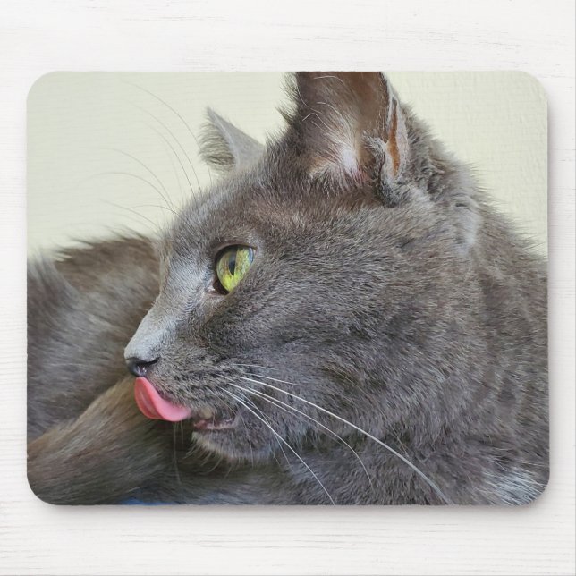 Alfombrilla De Ratón Gris cat mousepad (Frente)