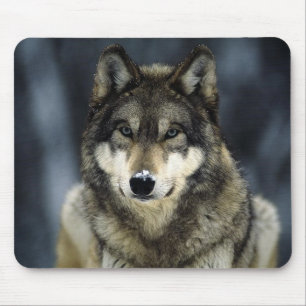 Alfombrilla De Ratón gris-lobo-nieve