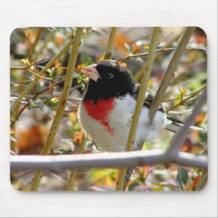 Alfombrilla De Ratón Grosbeak