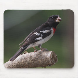 Alfombrilla De Ratón Grosbeak macho-Rosa-pecho