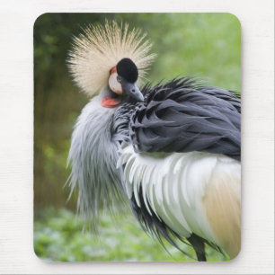 Alfombrilla De Ratón Grúa coronada negro Mousepad