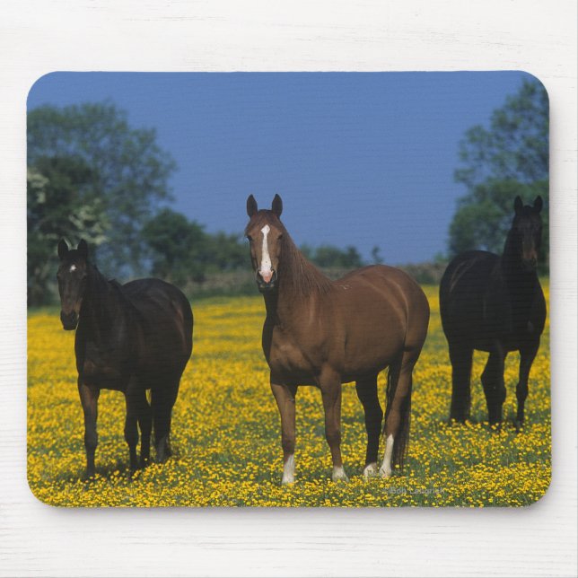 Alfombrilla De Ratón Grupo de caballos excelentes (Frente)