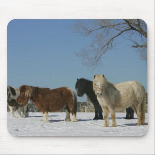 Alfombrilla De Ratón Grupo de caballos miniatura en la nieve