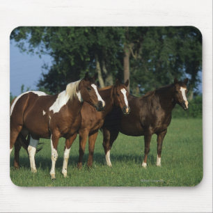 Alfombrilla De Ratón Grupo de colocación de los caballos de la pintura