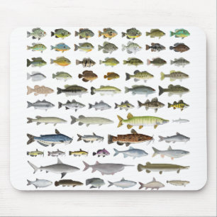 Alfombrilla De Ratón Grupo de peces de agua dulce de América del Norte