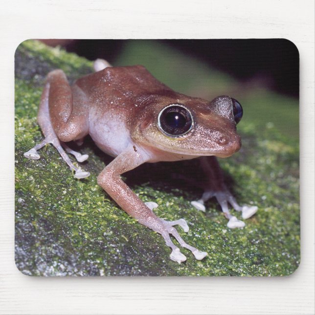 Alfombrilla De Ratón Guajon (Frente)