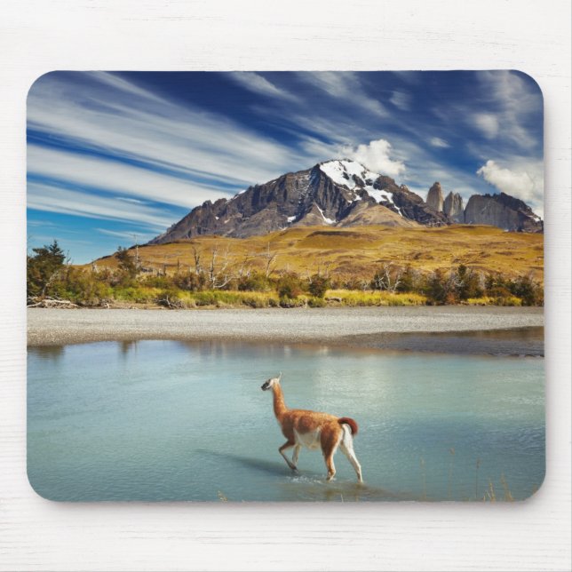 Alfombrilla De Ratón Guanaco que cruza el río en Torres del Paine (Frente)