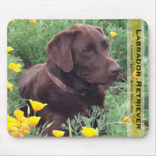 Alfombrilla De Ratón Guapo ladrón de chocolate recuperador perro cazado