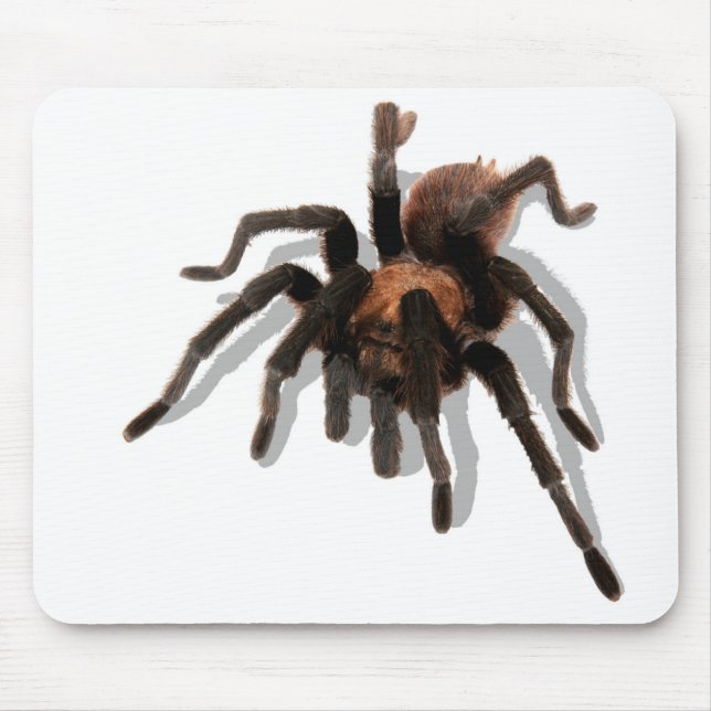 Alfombrilla De Ratón Guardian Tarantula (Frente)